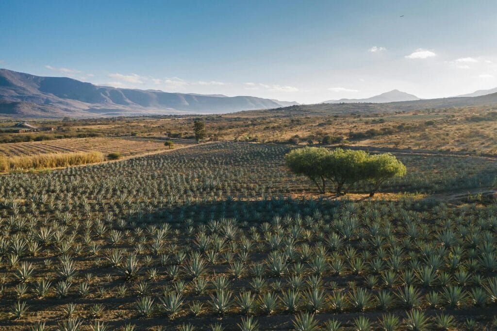 ¿Cómo se calcula el justiprecio de una finca por expropiación